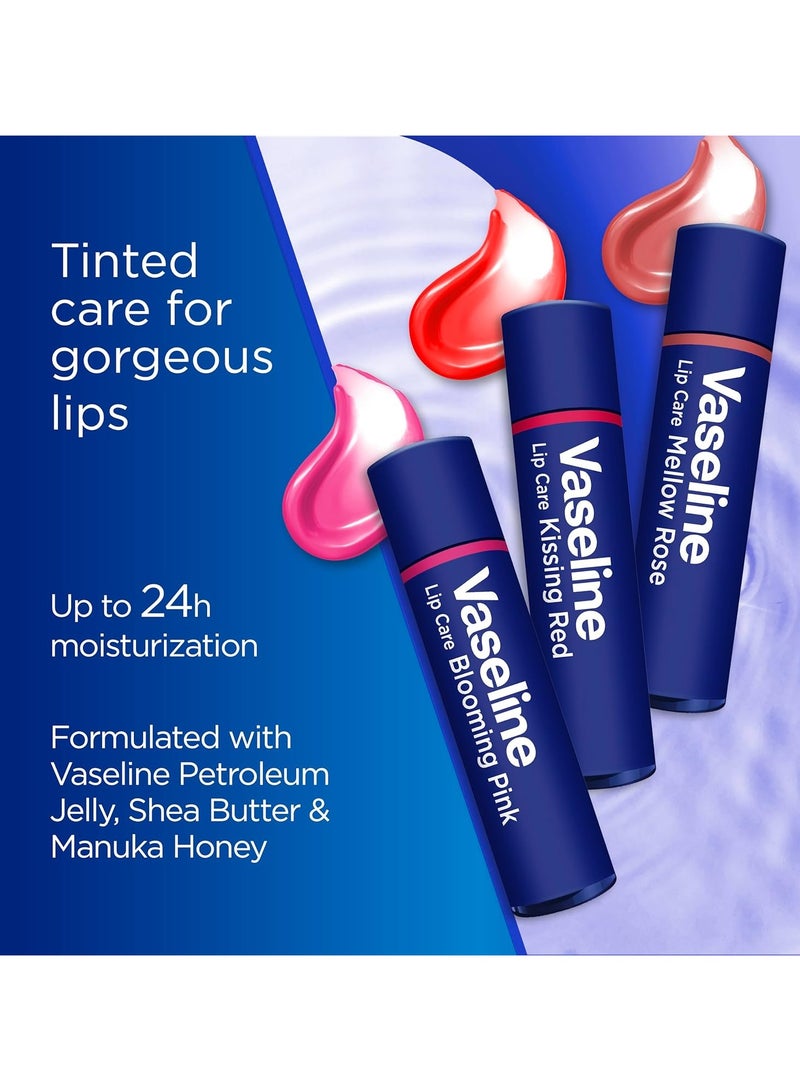 Vaseline Color and Care Lip - Mellow Rose - Image 4