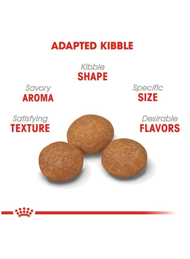 رويال كانين طعام جاف للكلاب البالغة الصغيرة جدًا بعمر 8+، كيس 2.5 رطل - Image 3