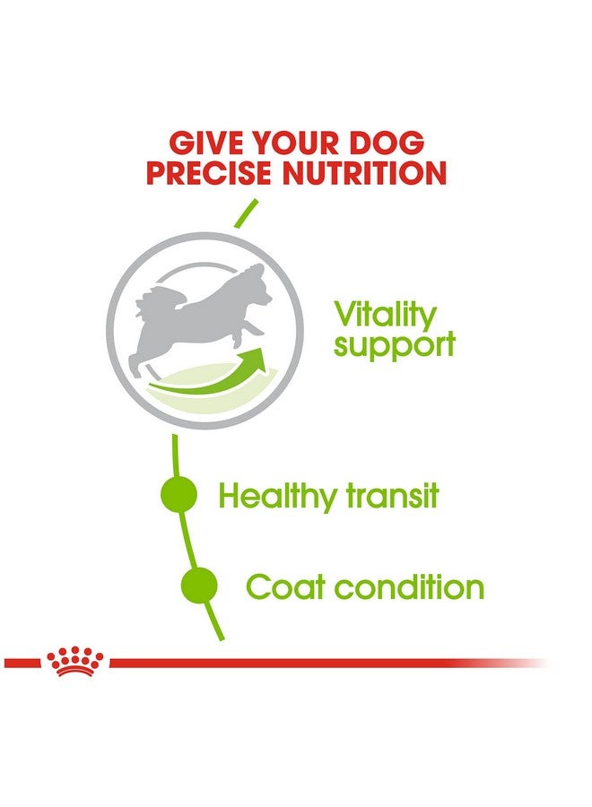 رويال كانين طعام جاف للكلاب البالغة الصغيرة جدًا بعمر 8+، كيس 2.5 رطل - Image 4