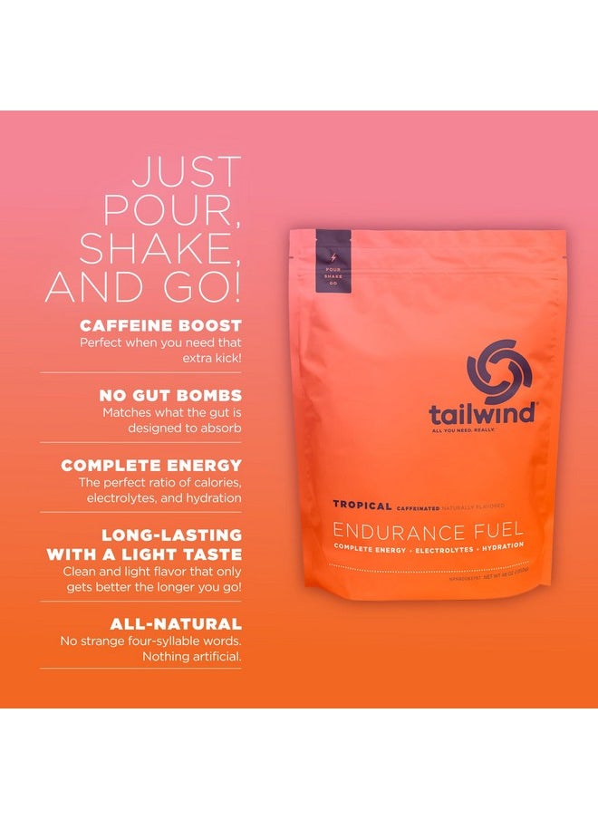 Tailwind Nutrition Endurance Fuel, Electrolyte & Hydration Sports Drink Mix Powder With Caffeine, Gluten-Free, Vegan, Tropical Buzz, 50 Servings (Caffeinated)  - Image 2