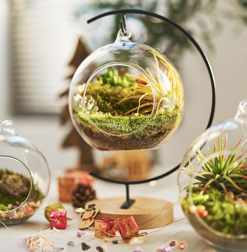 LUCKYRUNES 15-Piece Terrarium Kit with Live Moss â€“ DIY Glass Globe Set with Tools, Soil, Stones & Spray Bottle â€“ Indoor Mini Garden Gift for Plant Lovers, Home Decor & Zen Craft - Image 1