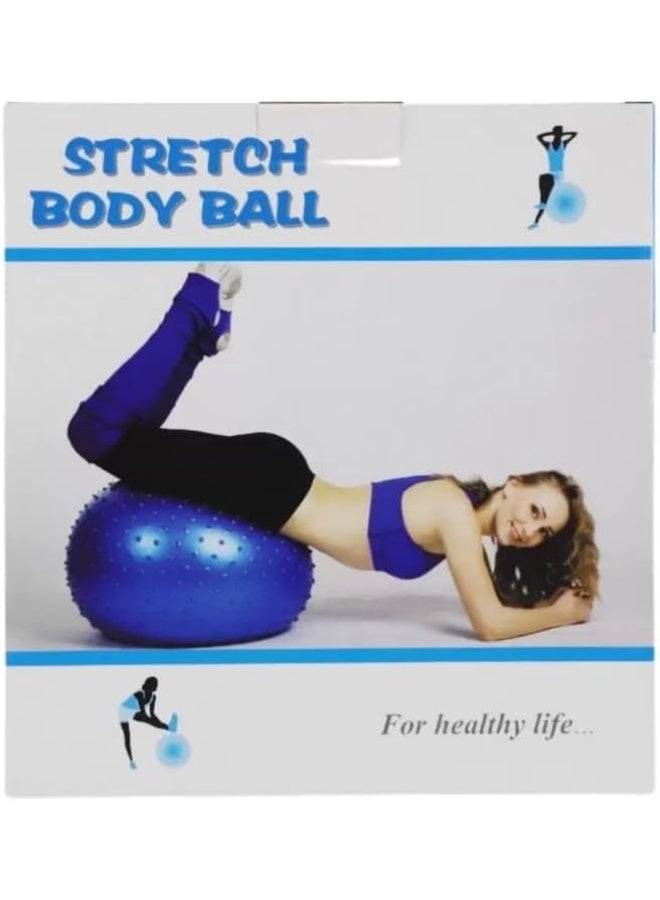 Day To Day Yoga Exercise Fitness Ball 65cm Anti Burst Big Inflatable Ball With Tactile Spikes- Purple - Image 2