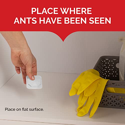 Hot Shot MaxAttrax Ant Bait, 0.07 oz Bait Stations, 4 Count, 12 Pack - Image 2