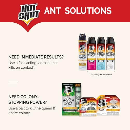 Hot Shot MaxAttrax Ant Bait, 0.07 oz Bait Stations, 4 Count, 12 Pack - Image 5