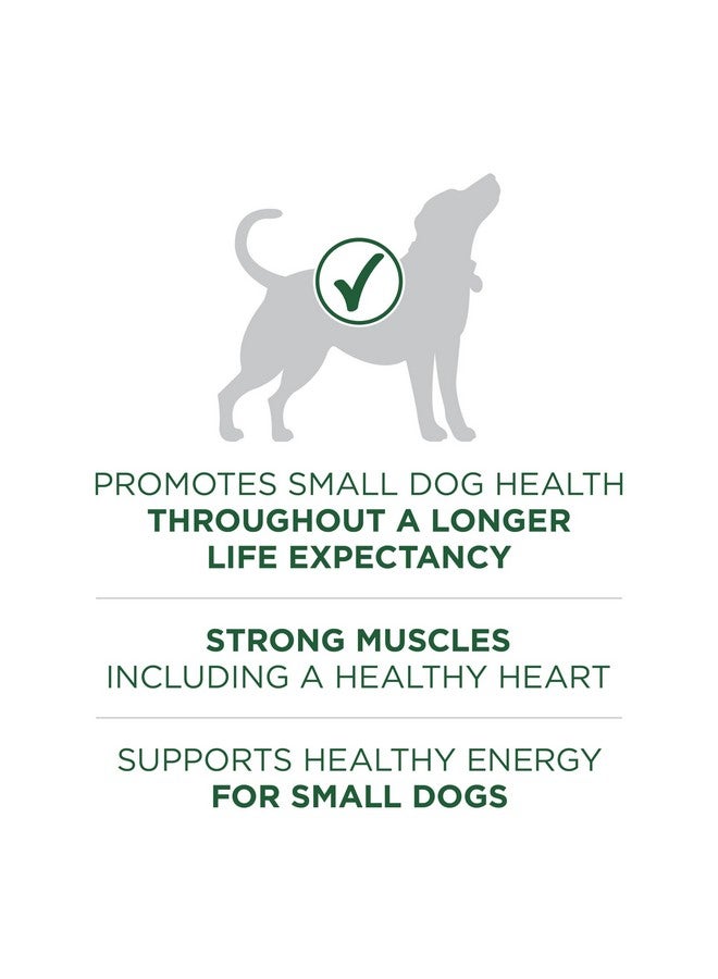 Purina ONE Purina ONE Plus Small Breed Lamb and Rice Formula Dry Dog Food - 7.4 lb. Bag - Image 4