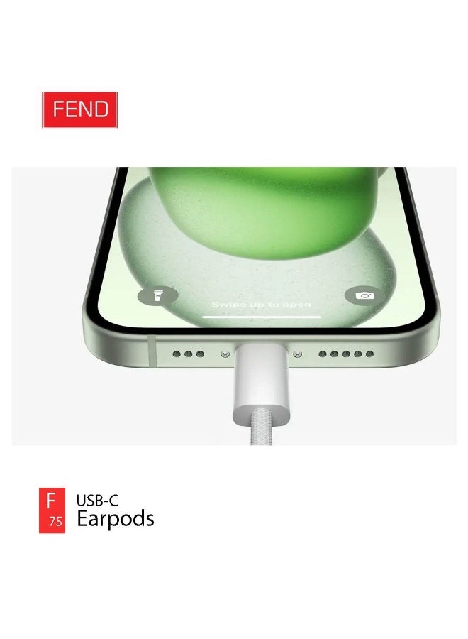 فيند سماعات أذن سلكية FEND F75 USB-C مزودة بميكروفون مدمج وتحكم في مستوى الصوت، صوت ستيريو عالي الدقة، سماعات من النوع C سهلة التوصيل والتشغيل متوافقة مع iPhone 17 Pro Max/ 17 Pro / 17 Air / 17 - Image 3