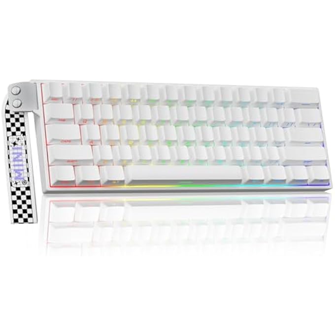 rayihni AULA MINI60 HE PRO - 60% MECHANICAL GAMING KEYBOARD WIRELESS, HALL EFFECT MAGNETIC SWITCH HOT SWAPPABLE, ADJUSTABLE ACTUATION RAPID TRIGGER MODE, 8000 HZ POLLING RATE, 60 PERCENT COMPACT DESIGN FOR PC - Image 1