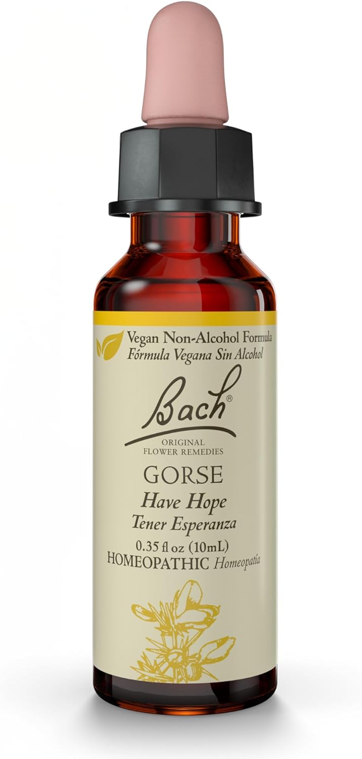 Bach Bach Original Flower Remedies, Gorse (Non-Alcohol Formula) - Have Hope - Natural Homeopathic Flower Essence for Emotional Balance - Vegan, Gluten Free, Sugar Free - 10mL Dropper 