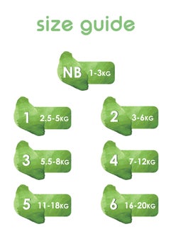 PureBorn Organic Diapers Size 6 For 16-20 kg Value Pack Assorted Print  - Image 5