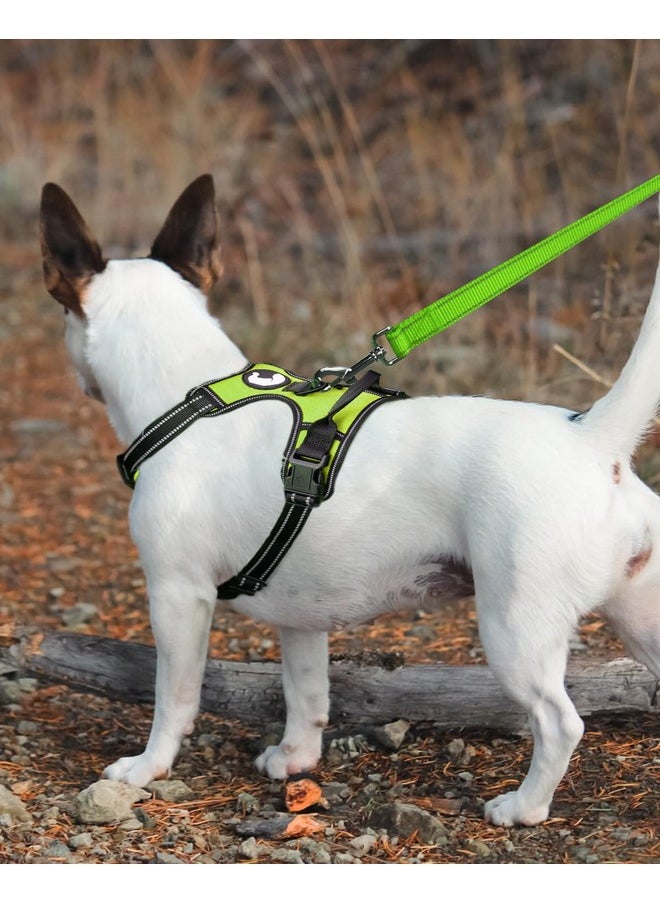 Joytale - Joytale Double-Sided Reflective Dog Leash, 6 FT/5 FT/4 FT, Padded Handle Nylon Dogs Leashes for Medium & Large Dogs Walking, Green, 4FT - Image 1