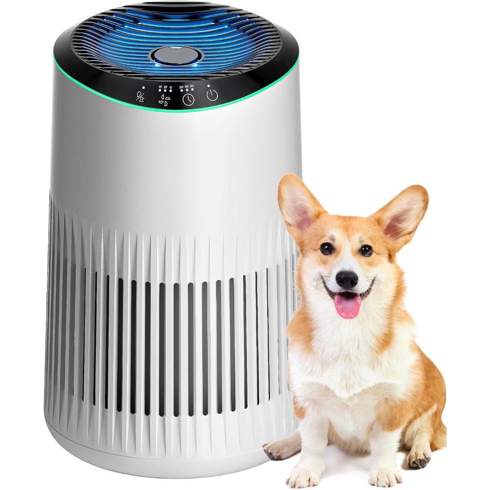 Home bedroom office air purifier, white True HEPA filter for smoke dust pollen pet dander odors, portable with sleep mode fragrance sponge, 22dB quiet night light