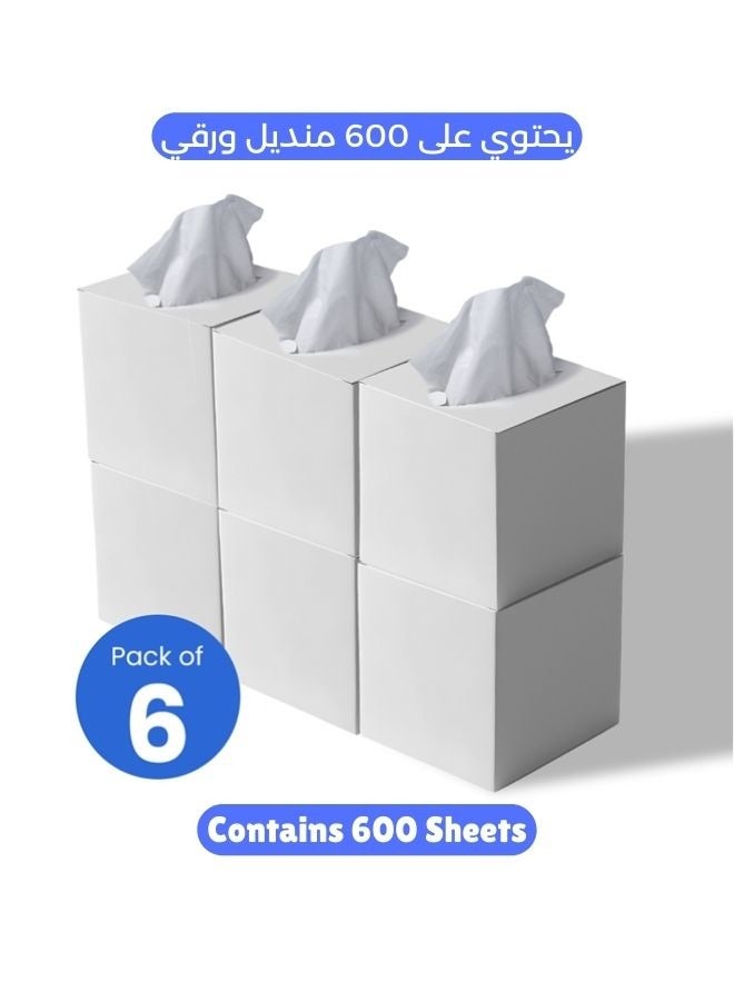 NICE Touch 2 Ply Facial Tissue 600 Sheets in Cube Boxes - Contains 6 Box of 100 Premium Quality Soft and Absorbent Tissues - Image 1