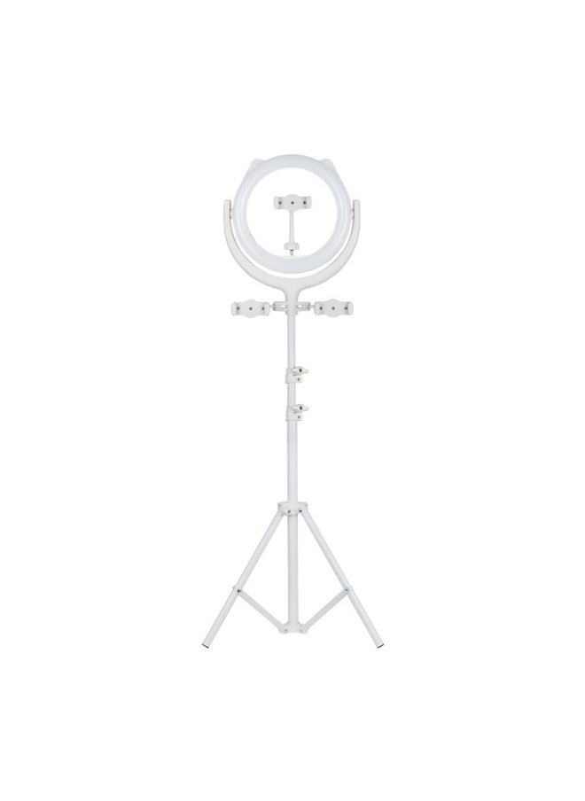 General - Mobile Phone Bracket Multi-position Live Broadcast Tripod Floor Video Fill Light Thermometer Support Frame Wholesale-Specifications:White 1.6m Bare Rack - Image 1