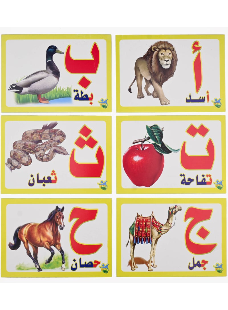 Arabic Letters Cards  - Image 5