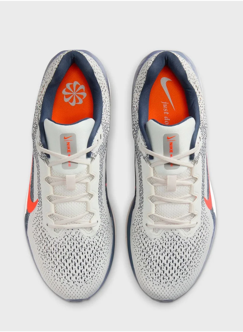 Nike Air Winflo 11