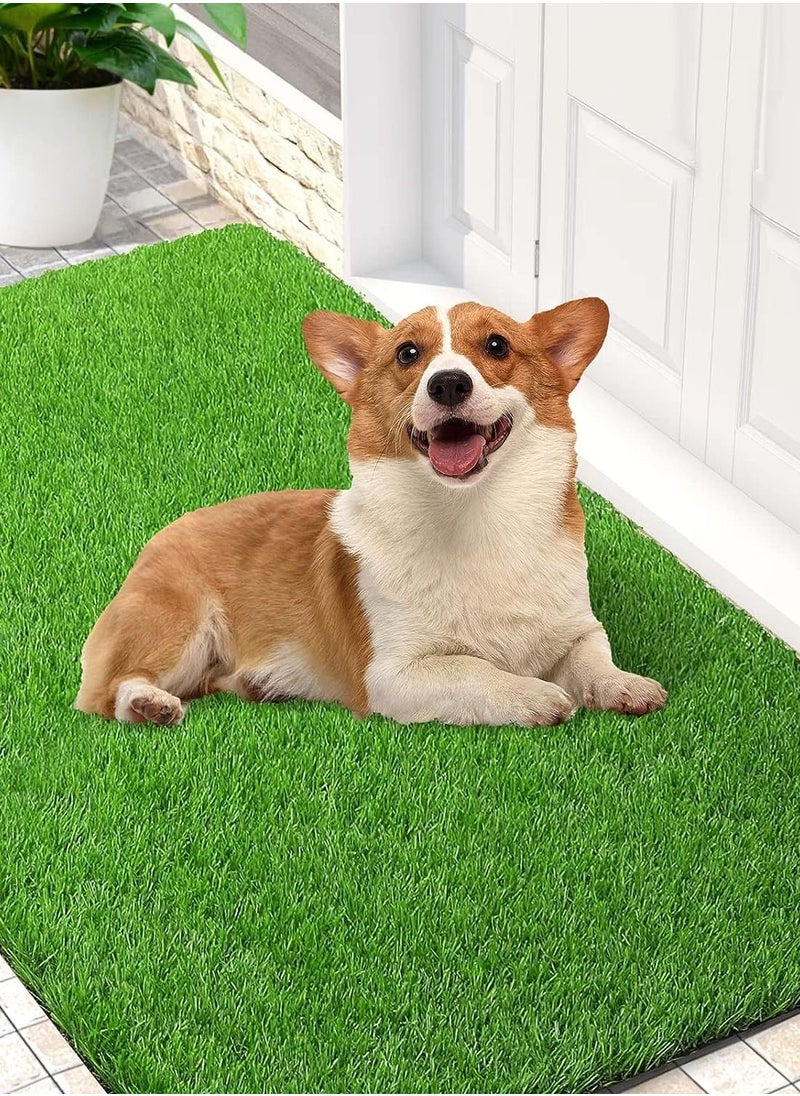 Artificial Grass - Multifunction Dog Pee Grass Folding Fake Grass Non Slip Artificial Turf Grass for Dogs with Drainage Holes Easy to Clean Suitable for Indoor Outdoor 1m x 1.53m - pzsku/ZA6B9683F8629C837C38BZ/45/_/1692796442/4bbd6db6-953c-4101-ae06-aa12650c75b9