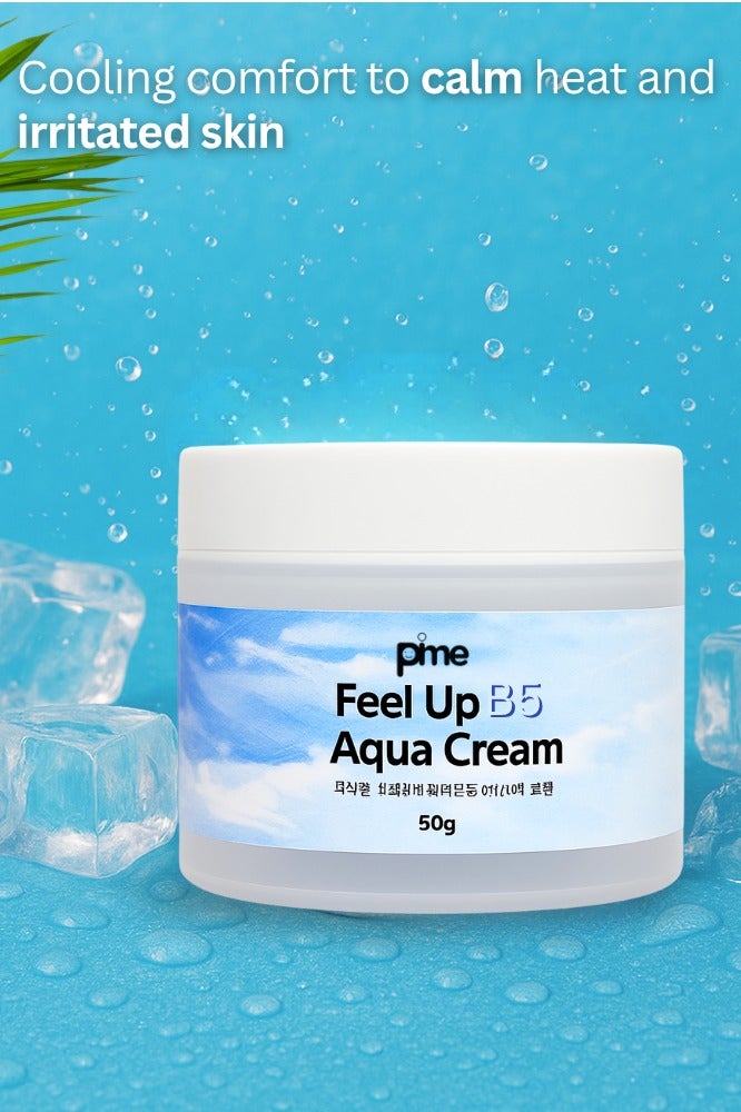 pime Panthenol Aqua Cream 50g x2 – Deep Hydration & Skin Barrier Repair Moisturizer with Bee Venom & Vitamin B5, Anti-Aging Face Cream for Sensitive, Dry & Aging Skin - Image 2