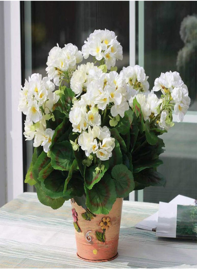 GGOOT - 100Pcs Pelargonium Seeds Geranium Flower Garden Balcony Bonsai Pot Plant Decor - White Geranium Seeds - Flower Seeds Vegetable Seeds Fruit Seeds Garden Plant Seeds - Image 1
