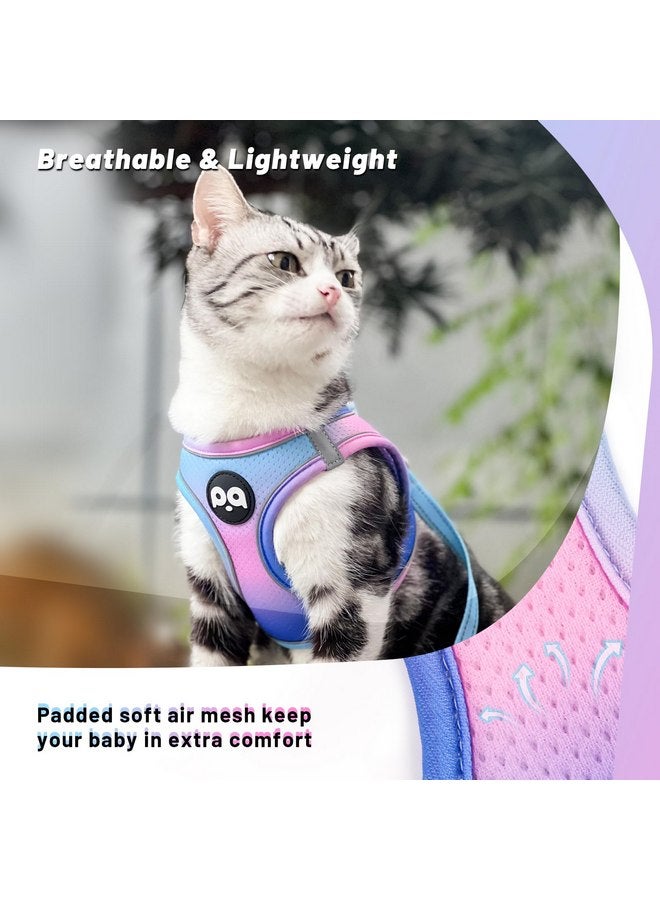 كيوكيو بيتس طقم حزام ومقود للقطط من QQPETS للمشي والحماية من الهروب، سترة آمنة وقابلة للتعديل للقطط الصغيرة مع شرائط عاكسة، سترة خفيفة الوزن من شبكة ناعمة سهلة التحكم (تدرج اللون الأزرق والوردي، مقاس M (15.7 بوصة - 17.7 بوصة)) - Image 1