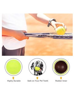 Sportq Tennis Balls - 12 Pack Tennis Balls For Advanced Training, Durable & Reusable Tennis Balls No Pressure, Perfect For Training, Teaching, All Kinds Of Courts And Playing With Animals - pzsku/ZA6BADB4CA77966F5C847Z/45/_/1731021231/f4665ce8-4b1e-4b2a-ad13-c3f5eb81c159