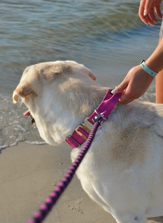 بلاك رينو طوق بلاك راينو التكتيكي للكلاب - طوق مبطن بالنيوبرين فائق النعومة للكلاب المتوسطة والكبيرة والكبيرة جدًا | مشبك معدني متين | مقبض مبطن لتدريب الكلاب (كبير، وردي) - Image 5