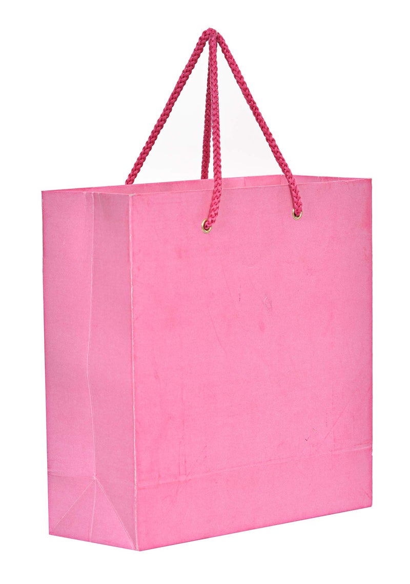 PPJ ® - PAPER CARRY BAG (PLAIN PINK) 8 inch X 3 Inch X 8 Inch (Small) for BIRTHDAY/DIWALI FUNCTION RETURN GIFTS (Pack of 25) - Image 1