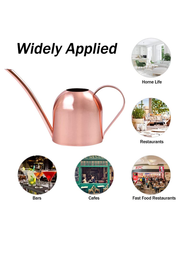 Stainless Steel Watering Can, Long Spout for No Spillage, Ornate Metal Long Spout Bonsai Mini Watering Can, Water Can for Succulent Bonsai Garden Flower, Watering Pot for Indoor/Outdoor Plants 500ML - Image 5