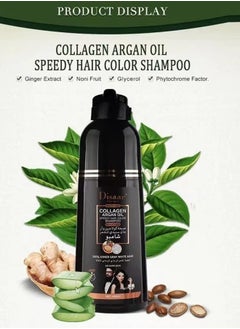 Hair Dye Shampoo with Collagen and Argan Oil to Cover Gray and White Hair with a Natural Black Color (10 in 1 Benefits) 400 ml from Disaar - pzsku/ZA6C06A4F15E51867BE44Z/45/_/1716228861/0abf9af2-dfa1-4234-9a64-1e1fb3686e6b