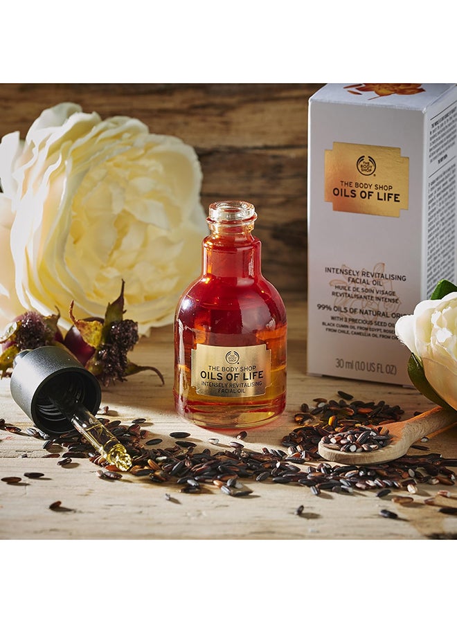 THE BODY SHOP Oils of Life Intensely Revitalising Facial Oil for Dry Skin – Lightweight Moisturiser with Black Cumin, Camellia & Rosehip Seed Oils, Hydrates, Soothes & Revives Radiance, 99% Natural Ingredients, Suitable for Sensitive Skin - Image 5