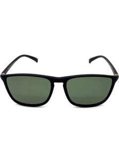 DV NA1000 C2 Men's Sunglasses - pzsku/ZA6C3581E1CF41E711A41Z/45/_/1731176160/78639d53-f974-43dd-b6b4-04aaedbe209f