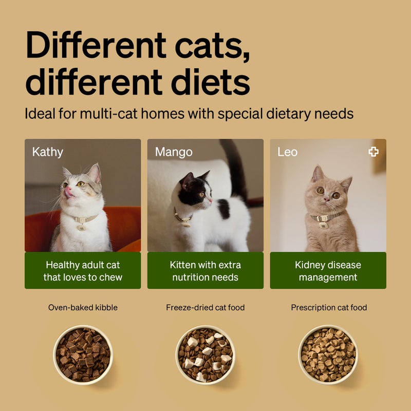 PETLIBRO RFID Automatic Cat Feeder, Collar Sensor-Activated Personalized Meals, Cats Recognition & Diet Tracking for Multi-Pet Homes and Different Diets, 5G&2.4G Wi-Fi Programmable Cat Food Dispenser - Image 5