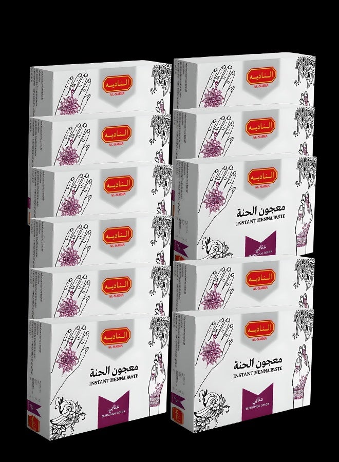 Al Nadia Nadia Henna Paste Burgundy Color 132 Pieces - Image 1