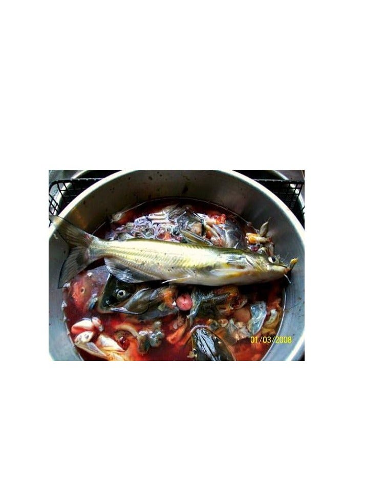 ماركة غير محددة سماد عضوي سائل قائم على الأسماك Ferti-Peixe ، 4 لتر معتمد من MOCCAE أفضل خيار للمزارعين العضويين للنباتات الخارجية والداخلية  - Image 5