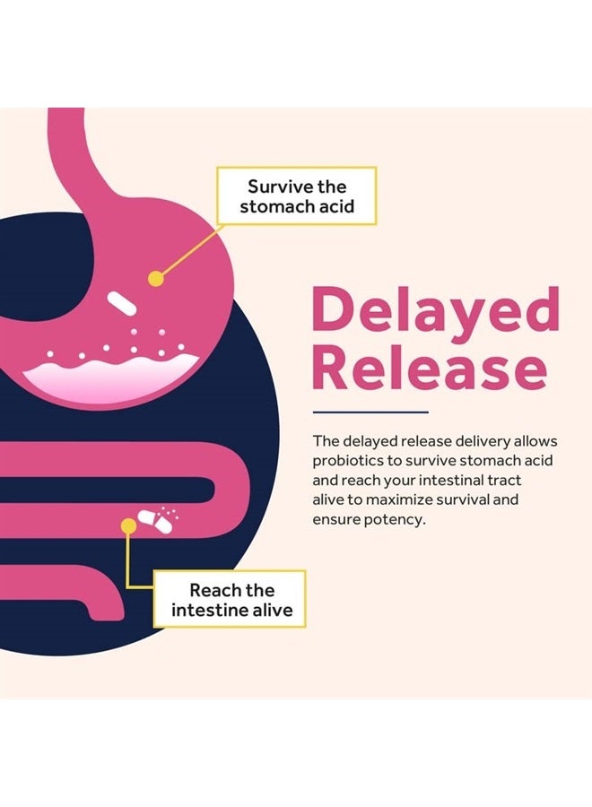 Doctor's Recipes Probiotics for Women, 100 Billion CFU 32 Strains, with Prebiotic Fiber, Enzymes & Cranberry, Vaginal Urinary Digestive & Immune, Shelf Stable, Delayed Release, No Yeast, 30 Caps - Image 1