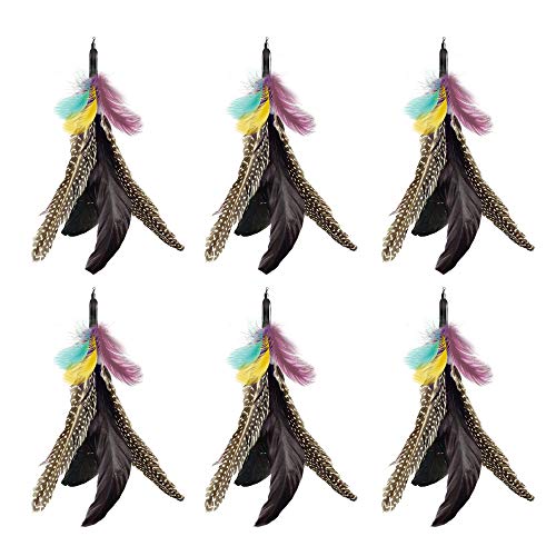 Highland Farms Select Handmade Natural Feather Cat Toy Dah Bird Refills Interactive Cat and Kitten Toy 6 Pack - Image 1