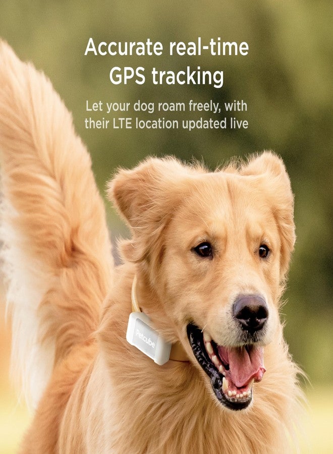 جهاز تتبع الحيوانات الأليفة Petcube GPS للكلاب | جهاز تتبع موقع الحيوانات الأليفة GPS مع تنبيهات الهروب والأسوار الافتراضية، ومراقبة النشاط والصحة، يضيء في الظلام، مقاوم للماء والغبار - Image 2