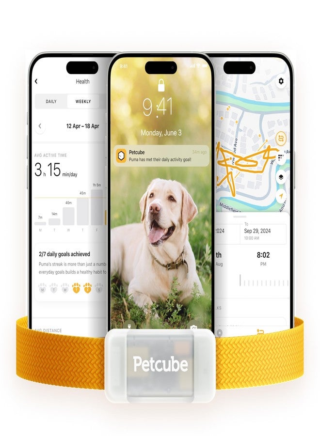جهاز تتبع الحيوانات الأليفة Petcube GPS للكلاب | جهاز تتبع موقع الحيوانات الأليفة GPS مع تنبيهات الهروب والأسوار الافتراضية، ومراقبة النشاط والصحة، يضيء في الظلام، مقاوم للماء والغبار - Image 1
