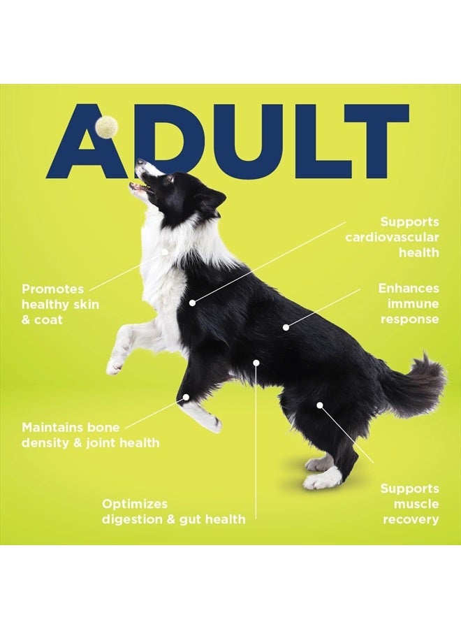 Vetericyn All-in 1 Multifunctional Dog Supplement | Digestive Enzymes + Glucosamine and Chondroitin for Bone and Joint Support + Vitamins, Antioxidants, Prebiotics, Probiotics, and Omegas. 90 Count - Image 3