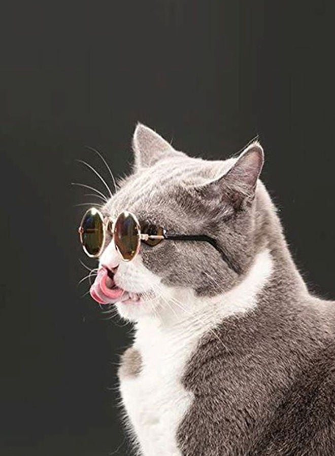 NIBEMINENT Foldable Pet Eyeglasses Brown/Pink/Black - Image 4