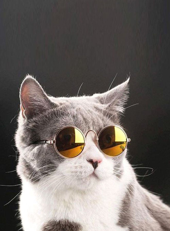 NIBEMINENT Foldable Pet Eyeglasses Brown/Pink/Black - Image 3