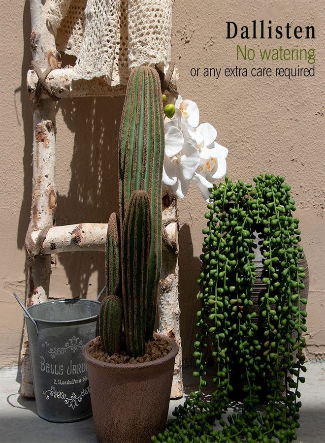 dallisten 6 Pcs Artificial Succulents Hanging Plants, Fake String of Pearls Greenery Plants, Decoration for Wall, Home, Backdrop, Garden, Indoor and Outdoor - Image 4