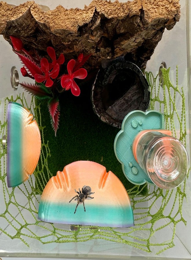 Okueejur 5Pcs Jumping Spider Accessories Set, Jumping Spider Enclosure Mushroom And Water Dispenser, Jumping Spider Web with Magnets, Jumping Spider Enclosure Climbing and Feeding Platforms (yellow+green) - Image 2
