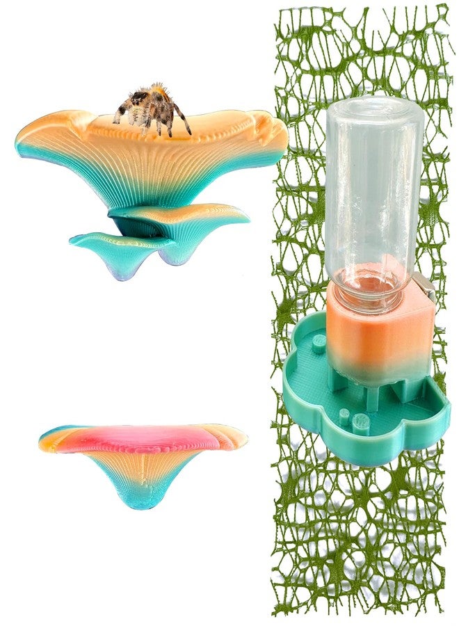 Okueejur 5Pcs Jumping Spider Accessories Set, Jumping Spider Enclosure Mushroom And Water Dispenser, Jumping Spider Web with Magnets, Jumping Spider Enclosure Climbing and Feeding Platforms (yellow+green) - Image 1