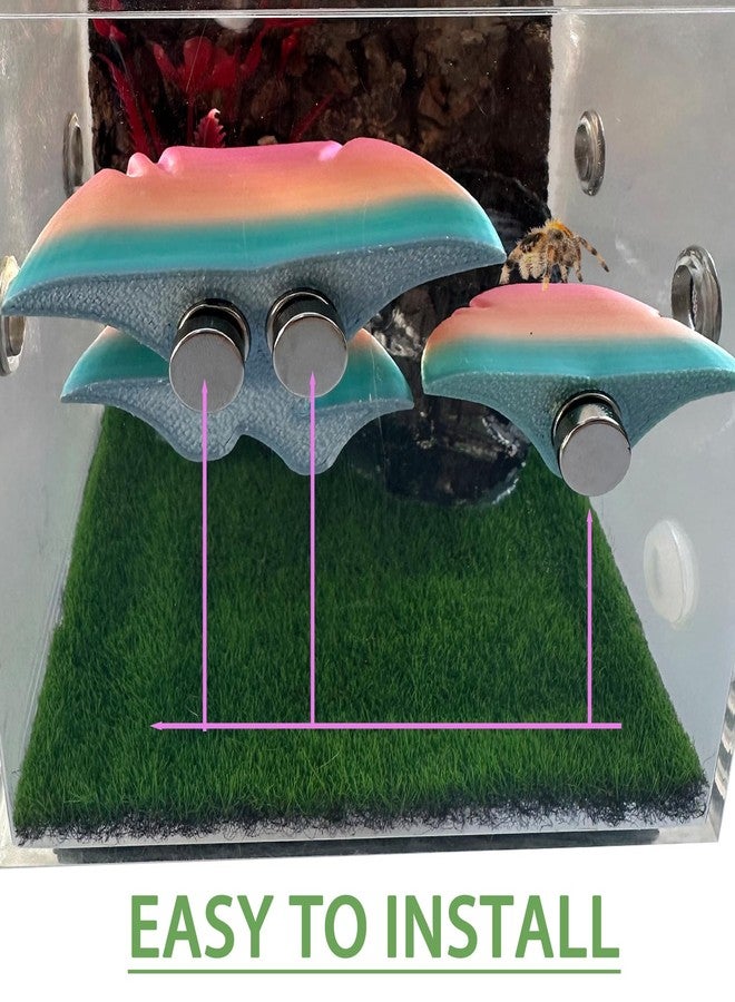 Okueejur 5Pcs Jumping Spider Accessories Set, Jumping Spider Enclosure Mushroom And Water Dispenser, Jumping Spider Web with Magnets, Jumping Spider Enclosure Climbing and Feeding Platforms (yellow+green) - Image 5