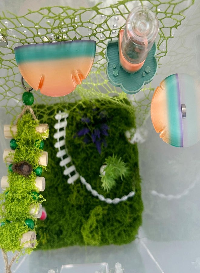Okueejur 5Pcs Jumping Spider Accessories Set, Jumping Spider Enclosure Mushroom And Water Dispenser, Jumping Spider Web with Magnets, Jumping Spider Enclosure Climbing and Feeding Platforms (yellow+green) - Image 4