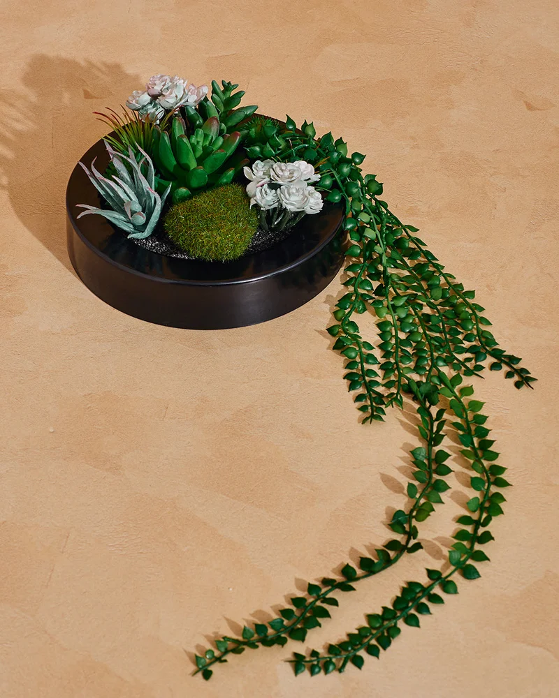 Redtag Green Artificial Succulent with Plastic Pot