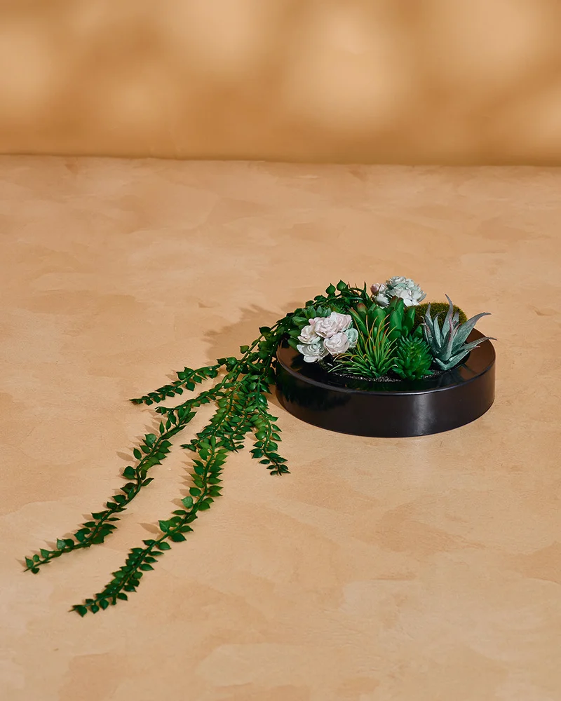 Redtag Green Artificial Succulent with Plastic Pot