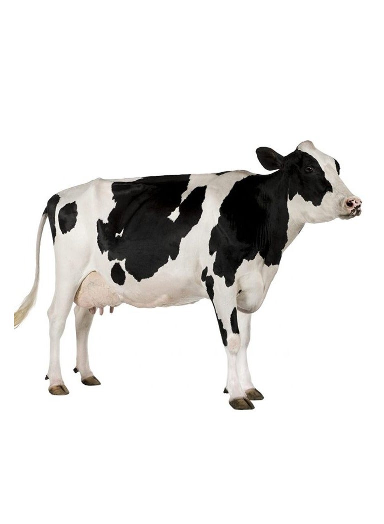 Green Future UAE Natural Organic Cow Manure Fertilizer 16 Kg Bag - Image 3