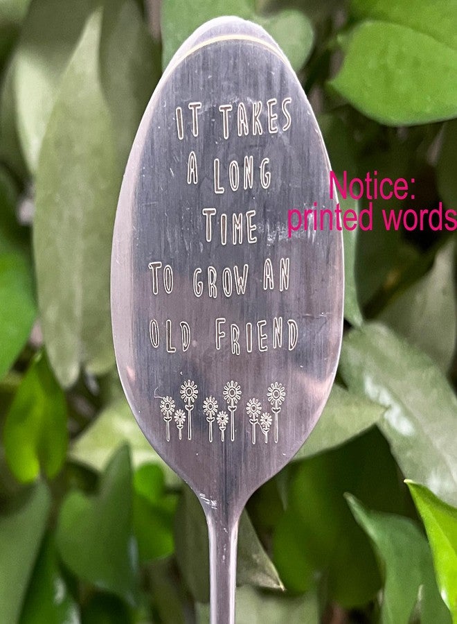 PLWalker Garden Plant Marker Friendship Gift for Women Gardeners, Plant Stake Label Sign Tag Gardening Gifts for Woman Plant Lovers, Metal Garden Decoration (Grow an Old Friend-B) - Image 3