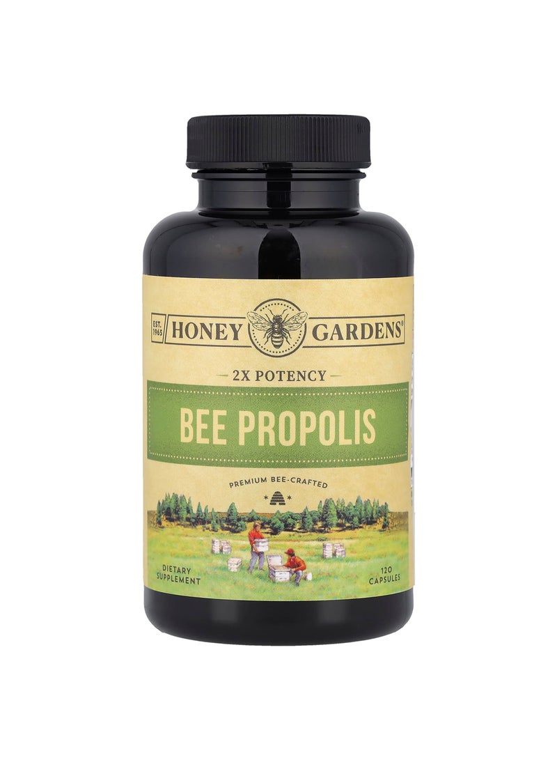 Bee Propolis, 2X Potency, 120 Capsules (400 mg per Capsule)